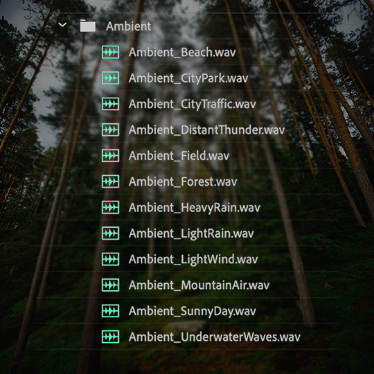 Wedding SFX Pack