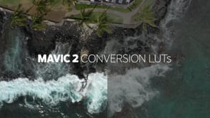 Mavic 2 Conversion LUTs